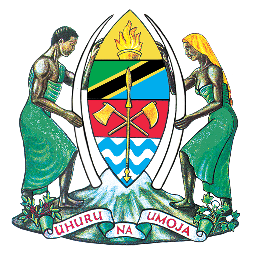 Tanzania Investment and Special Economic Zones Authority (TISEZA)